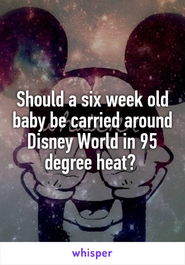 Should a six week old baby be carried around Disney World in 95 degree heat? 