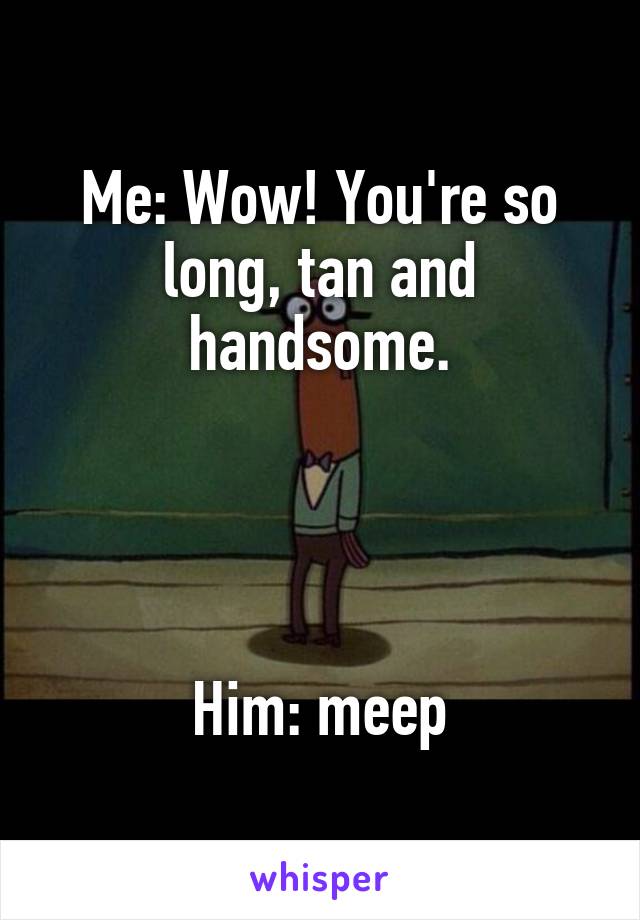 Me: Wow! You're so long, tan and handsome.




Him: meep