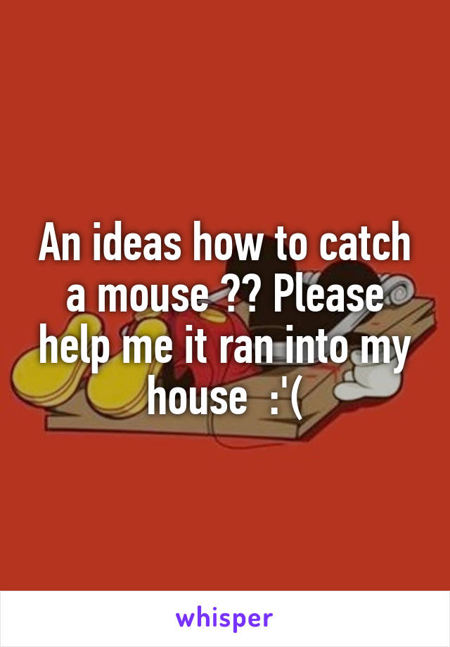 An ideas how to catch a mouse ?? Please help me it ran into my house  :'(