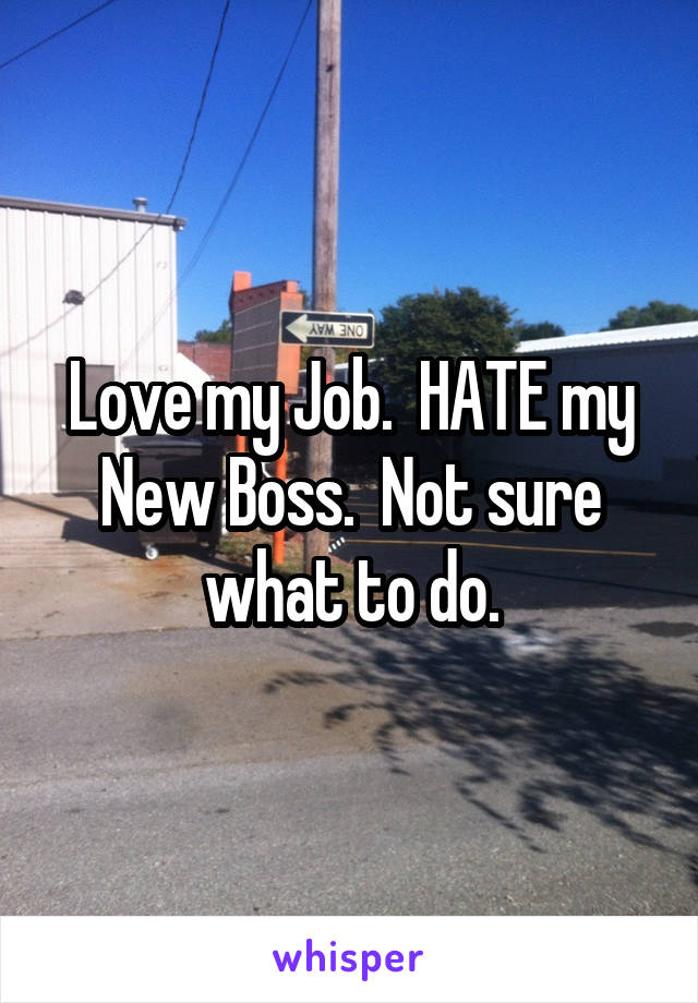 Love my Job.  HATE my New Boss.  Not sure what to do.