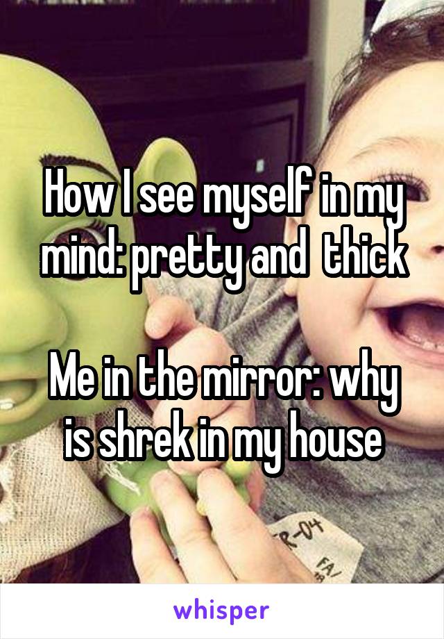 How I see myself in my mind: pretty and  thick

Me in the mirror: why is shrek in my house