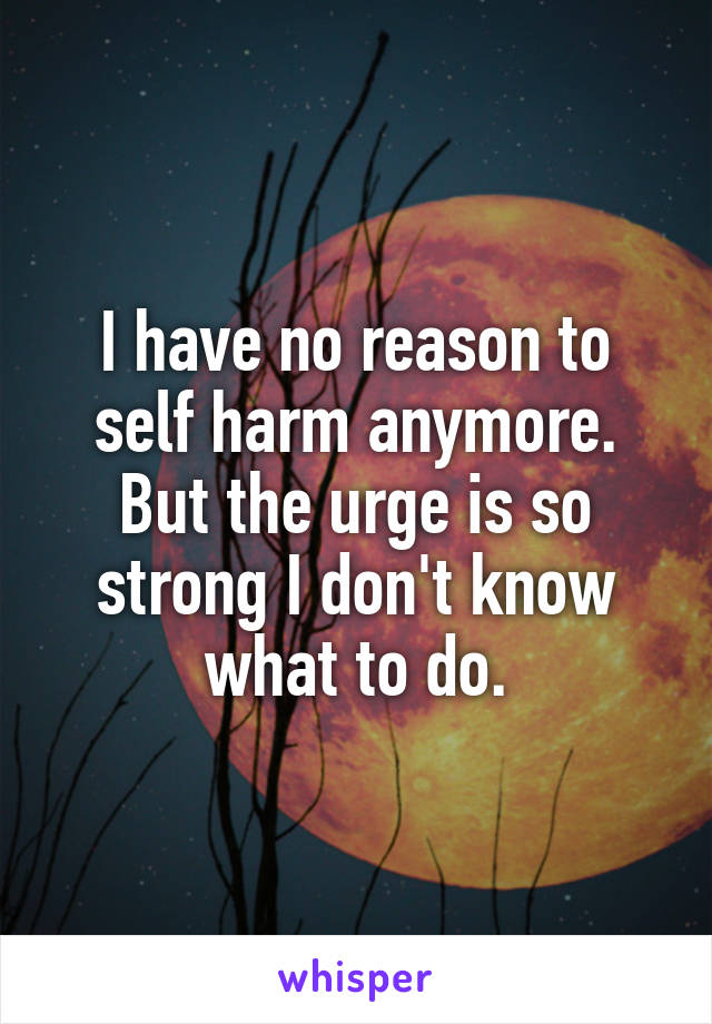 I have no reason to self harm anymore. But the urge is so strong I don't know what to do.