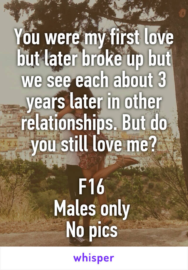 You were my first love but later broke up but we see each about 3 years later in other relationships. But do you still love me?

F16 
Males only 
No pics 