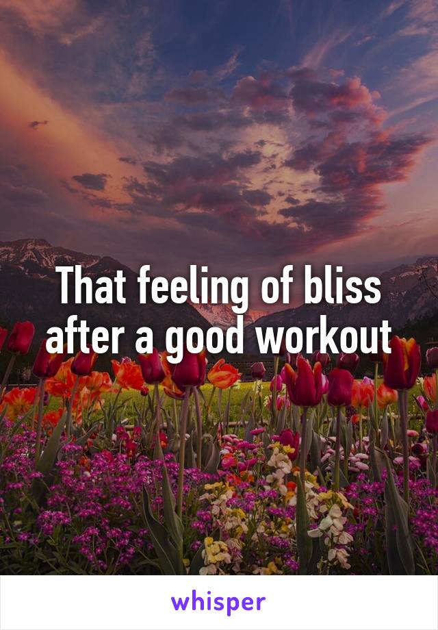 That feeling of bliss after a good workout