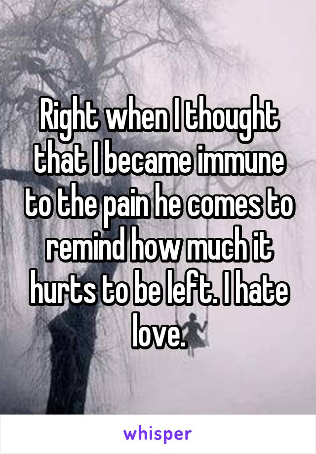 Right when I thought that I became immune to the pain he comes to remind how much it hurts to be left. I hate love.