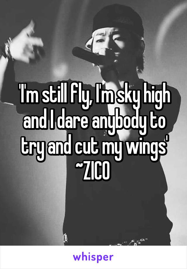 'I'm still fly, I'm sky high and I dare anybody to try and cut my wings' ~ZICO 