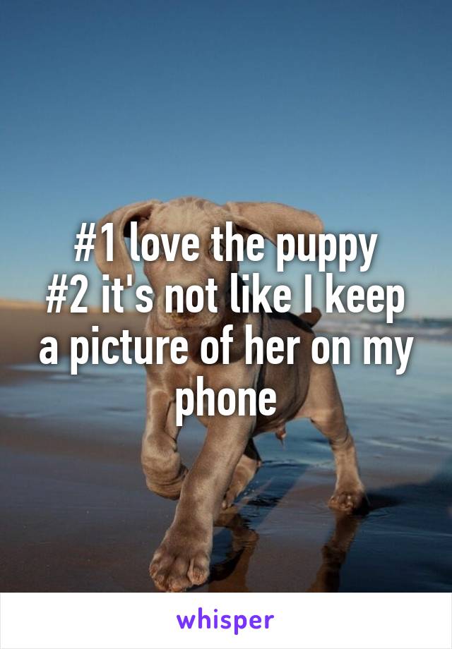 #1 love the puppy
#2 it's not like I keep a picture of her on my phone