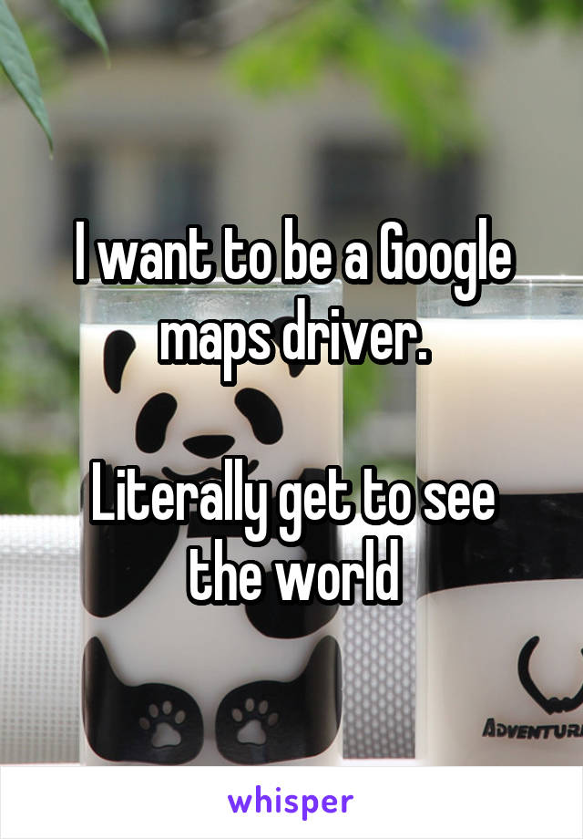 I want to be a Google maps driver.

Literally get to see the world