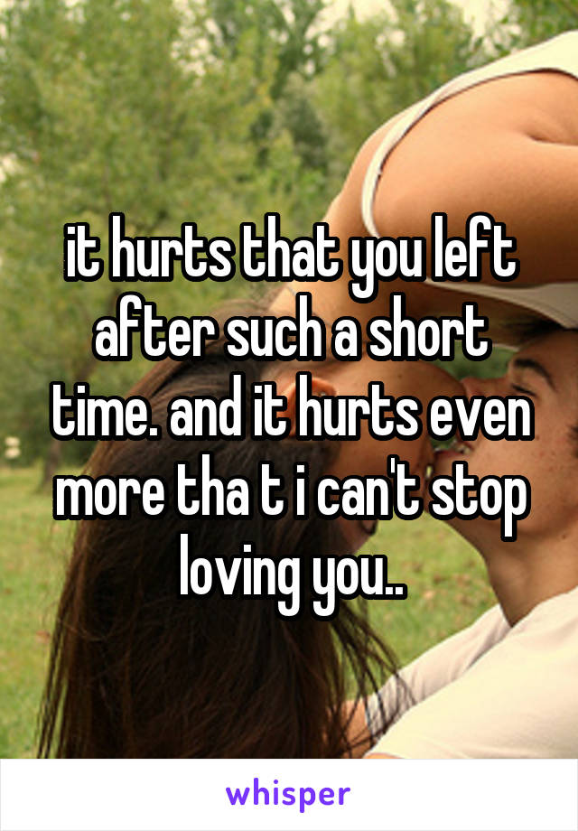 it hurts that you left after such a short time. and it hurts even more tha t i can't stop loving you..