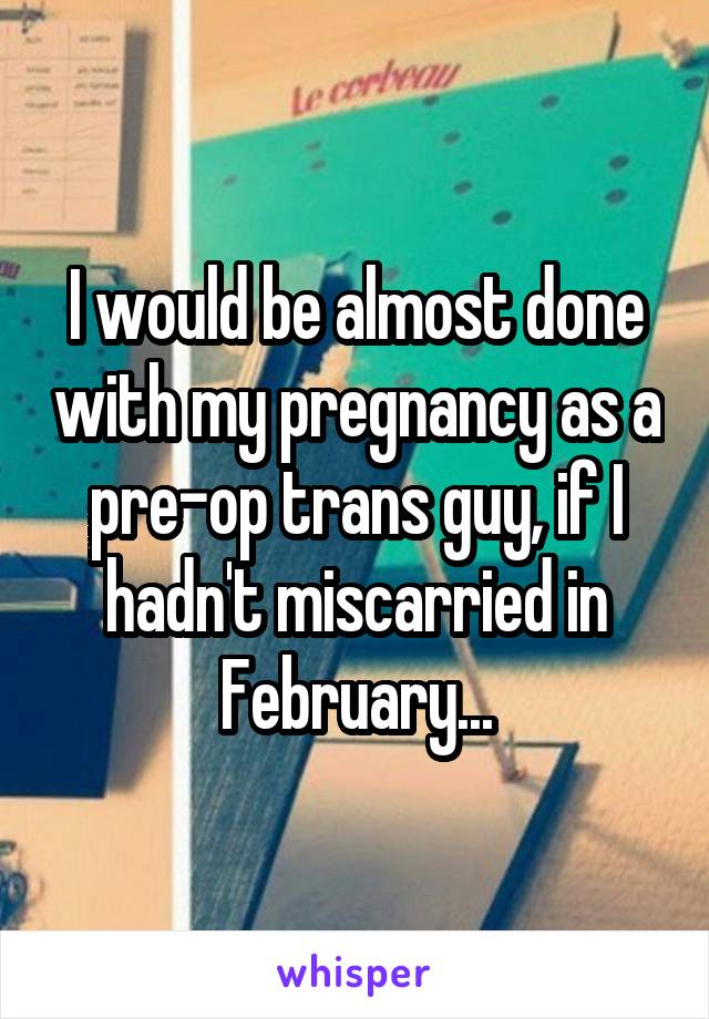 I would be almost done with my pregnancy as a pre-op trans guy, if I hadn't miscarried in February...