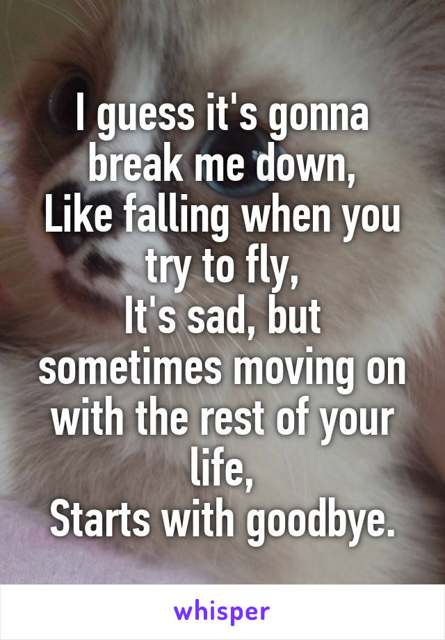 I guess it's gonna break me down,
Like falling when you try to fly,
It's sad, but sometimes moving on with the rest of your life,
Starts with goodbye.