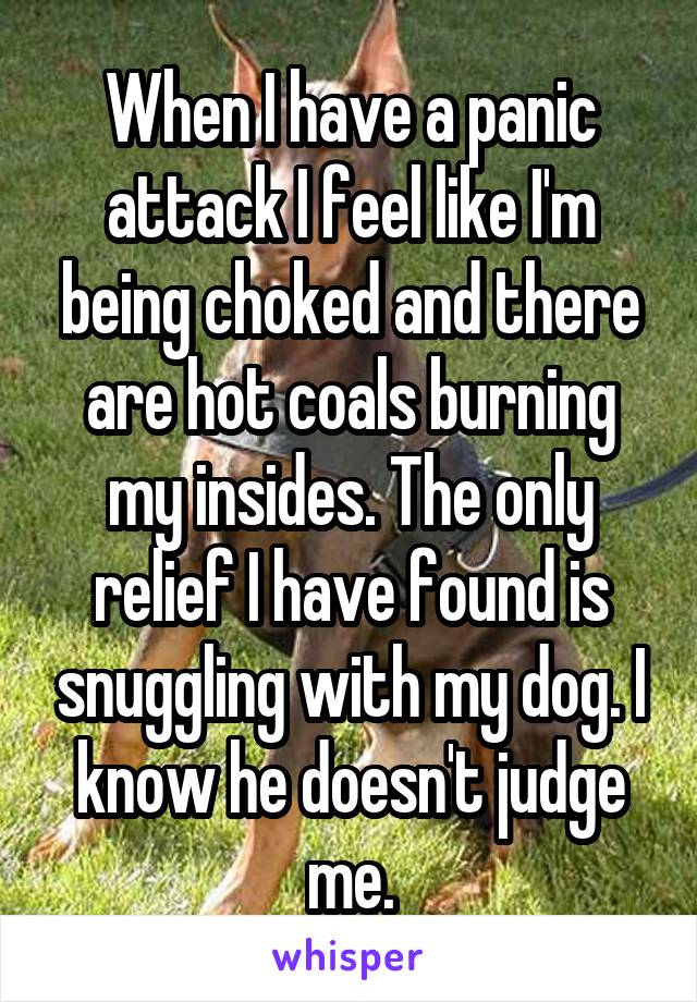 When I have a panic attack I feel like I'm being choked and there are hot coals burning my insides. The only relief I have found is snuggling with my dog. I know he doesn't judge me.