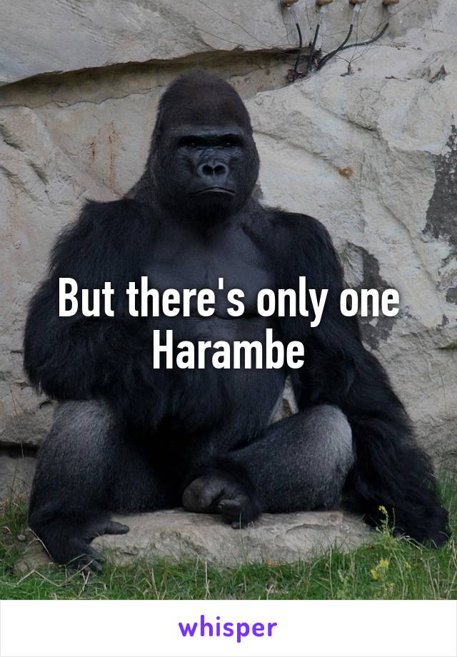 But there's only one Harambe
