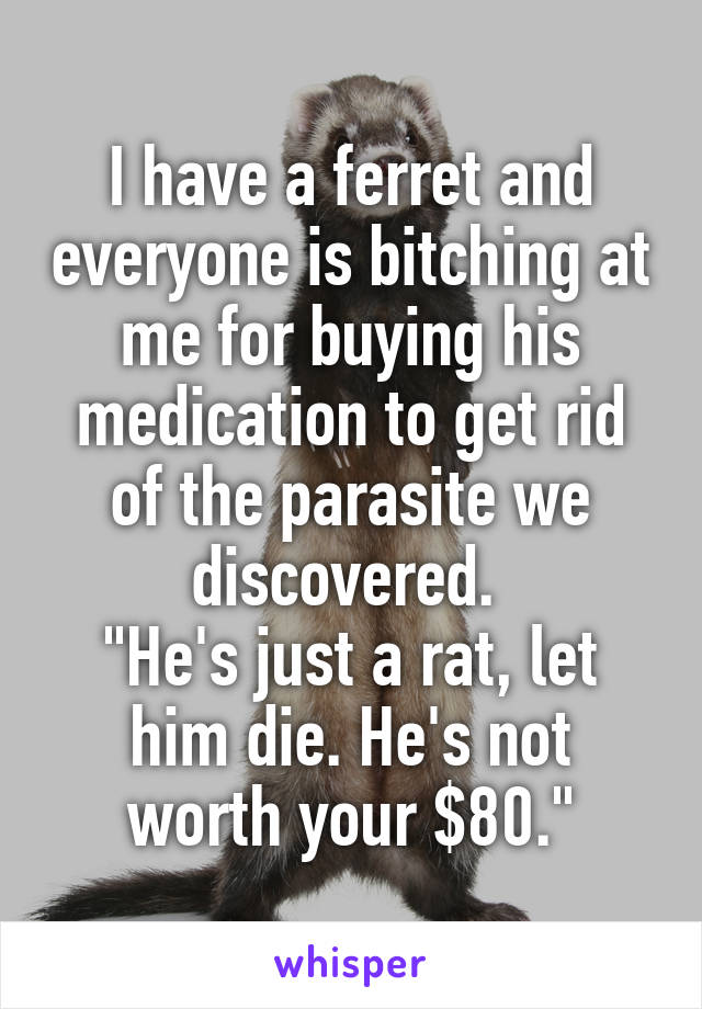 I have a ferret and everyone is bitching at me for buying his medication to get rid of the parasite we discovered. 
"He's just a rat, let him die. He's not worth your $80."