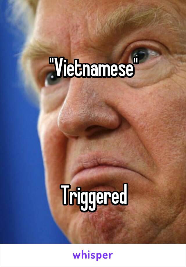 "Vietnamese"




Triggered