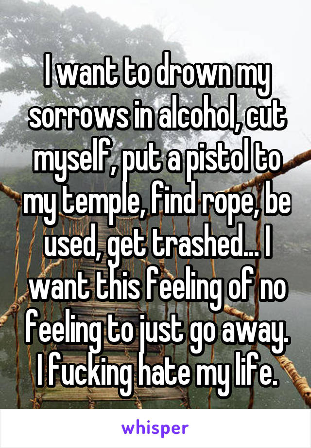 I want to drown my sorrows in alcohol, cut myself, put a pistol to my temple, find rope, be used, get trashed... I want this feeling of no feeling to just go away. I fucking hate my life.