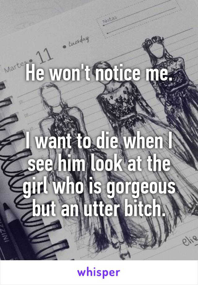 He won't notice me.


I want to die when I see him look at the girl who is gorgeous but an utter bitch.