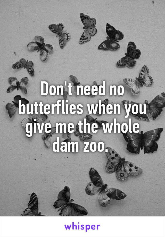 Don't need no butterflies when you give me the whole dam zoo. 