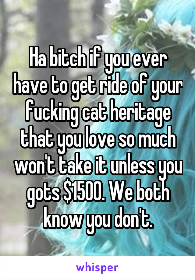 Ha bitch if you ever have to get ride of your fucking cat heritage that you love so much won't take it unless you gots $1500. We both know you don't.