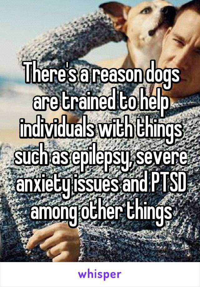 There's a reason dogs are trained to help individuals with things such as epilepsy, severe anxiety issues and PTSD among other things