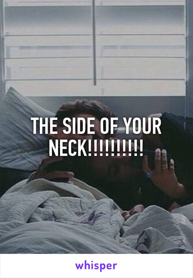 THE SIDE OF YOUR NECK!!!!!!!!!!
