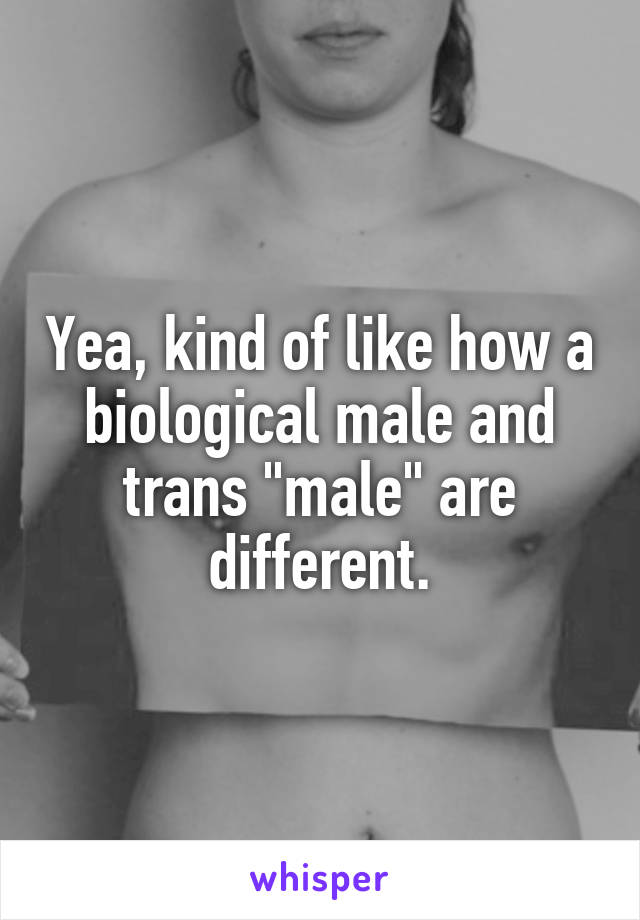 Yea, kind of like how a biological male and trans "male" are different.