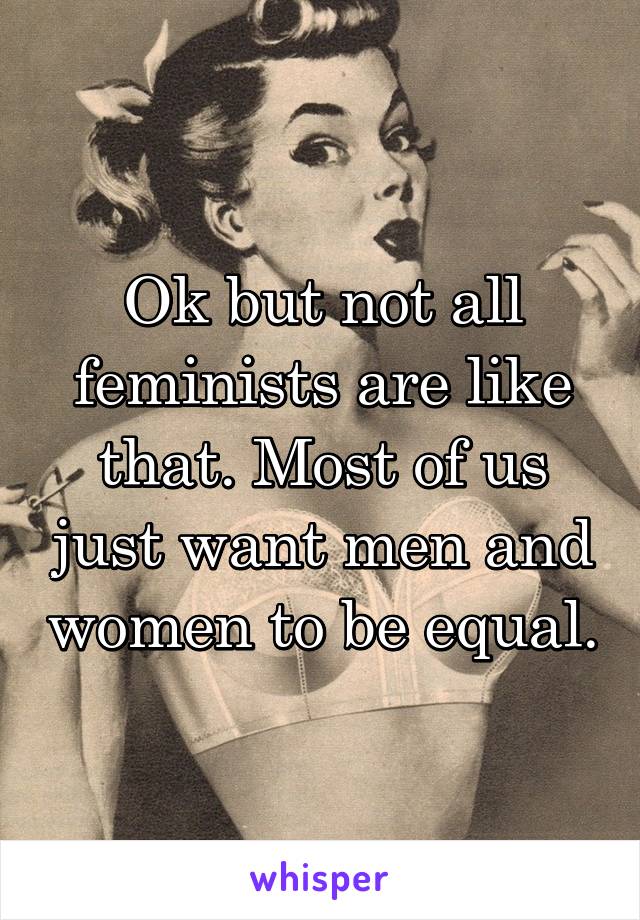 Ok but not all feminists are like that. Most of us just want men and women to be equal.