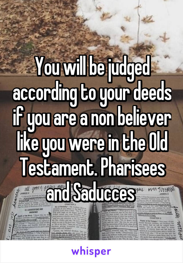 You will be judged according to your deeds if you are a non believer like you were in the Old Testament. Pharisees and Saducces 