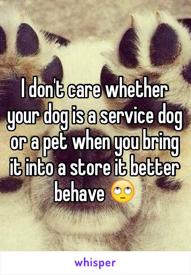 I don't care whether your dog is a service dog or a pet when you bring it into a store it better behave 🙄