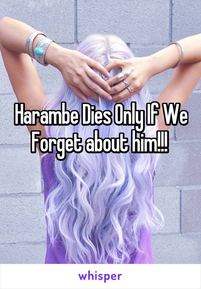 Harambe Dies Only If We Forget about him!!! 
