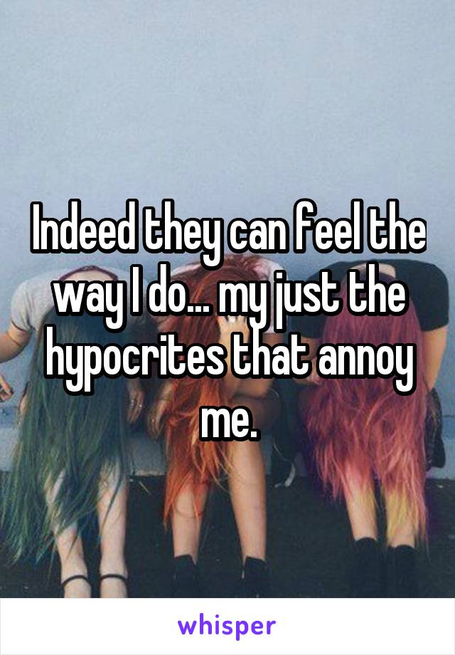 Indeed they can feel the way I do... my just the hypocrites that annoy me.