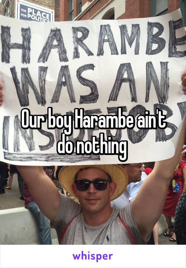 Our boy Harambe ain't do nothing 