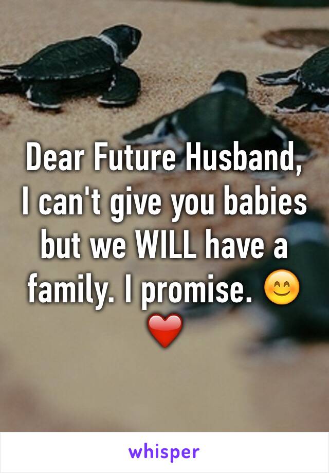 Dear Future Husband,
I can't give you babies but we WILL have a family. I promise. 😊❤️