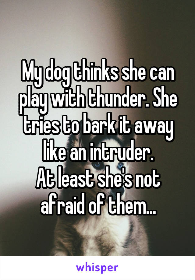 My dog thinks she can play with thunder. She tries to bark it away like an intruder.
At least she's not afraid of them...