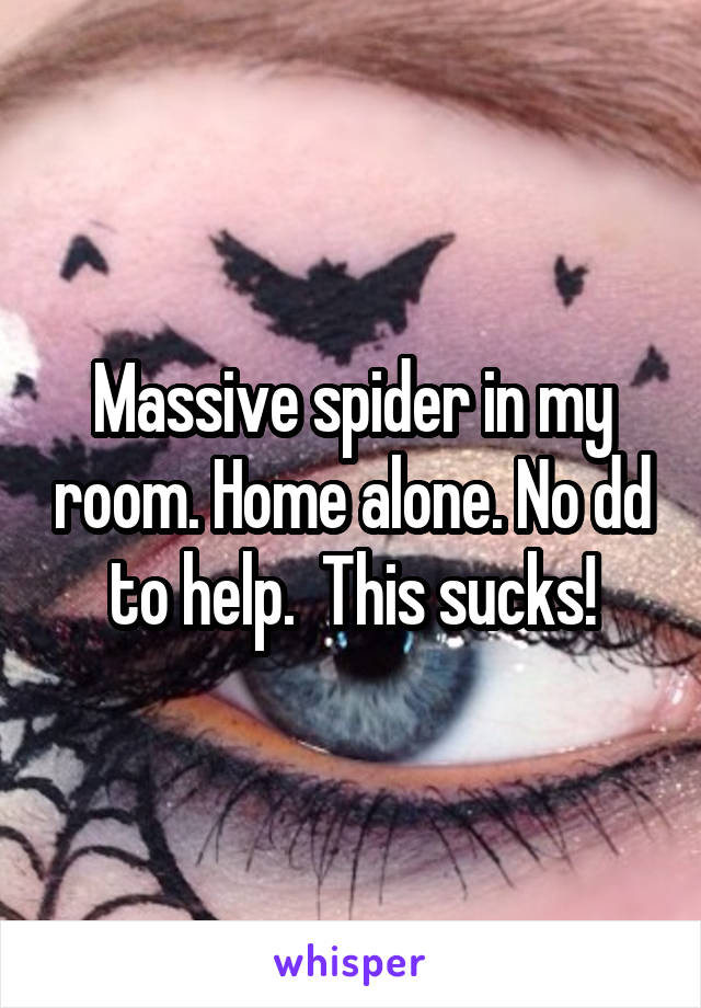 Massive spider in my room. Home alone. No dd to help.  This sucks!