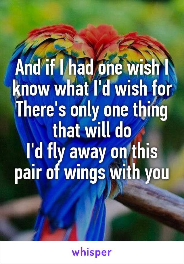 And if I had one wish I know what I'd wish for
There's only one thing that will do
I'd fly away on this pair of wings with you
