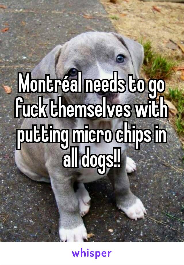 Montréal needs to go fuck themselves with putting micro chips in all dogs!!
