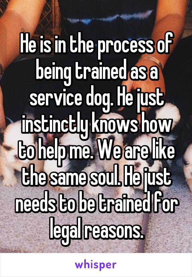 He is in the process of being trained as a service dog. He just instinctly knows how to help me. We are like the same soul. He just needs to be trained for legal reasons.