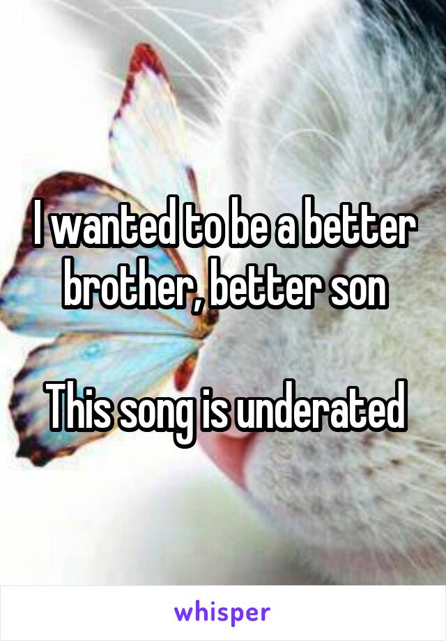 I wanted to be a better brother, better son

This song is underated
