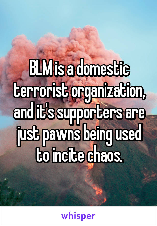 BLM is a domestic terrorist organization, and it's supporters are just pawns being used to incite chaos.
