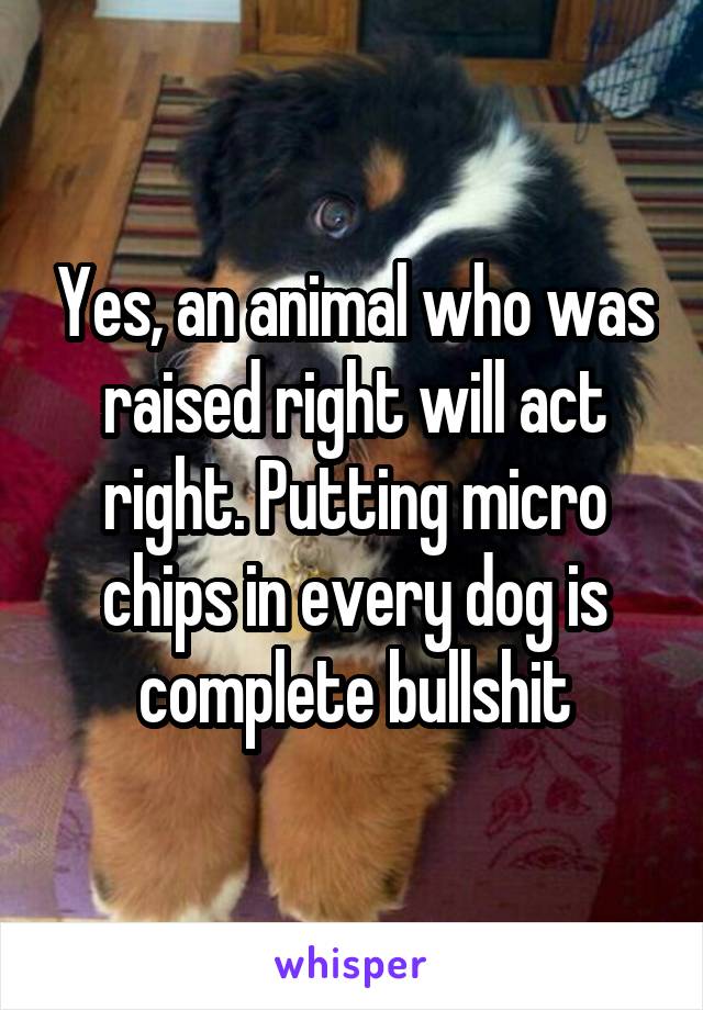 Yes, an animal who was raised right will act right. Putting micro chips in every dog is complete bullshit