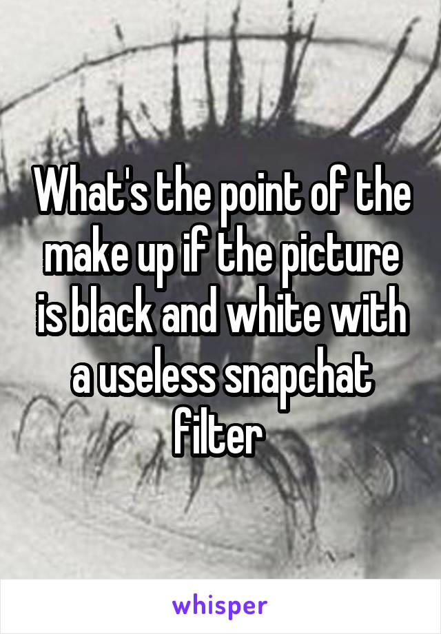 What's the point of the make up if the picture is black and white with a useless snapchat filter 