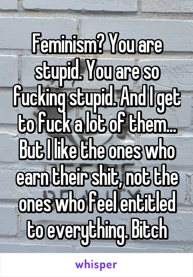 Feminism? You are stupid. You are so fucking stupid. And I get to fuck a lot of them... But I like the ones who earn their shit, not the ones who feel entitled to everything. Bitch