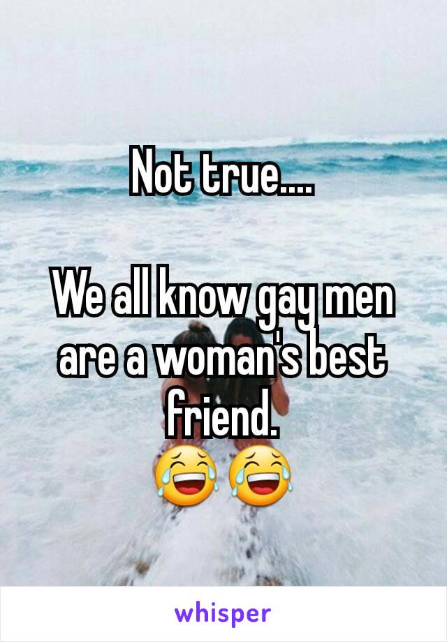 Not true....

We all know gay men are a woman's best friend.
😂😂