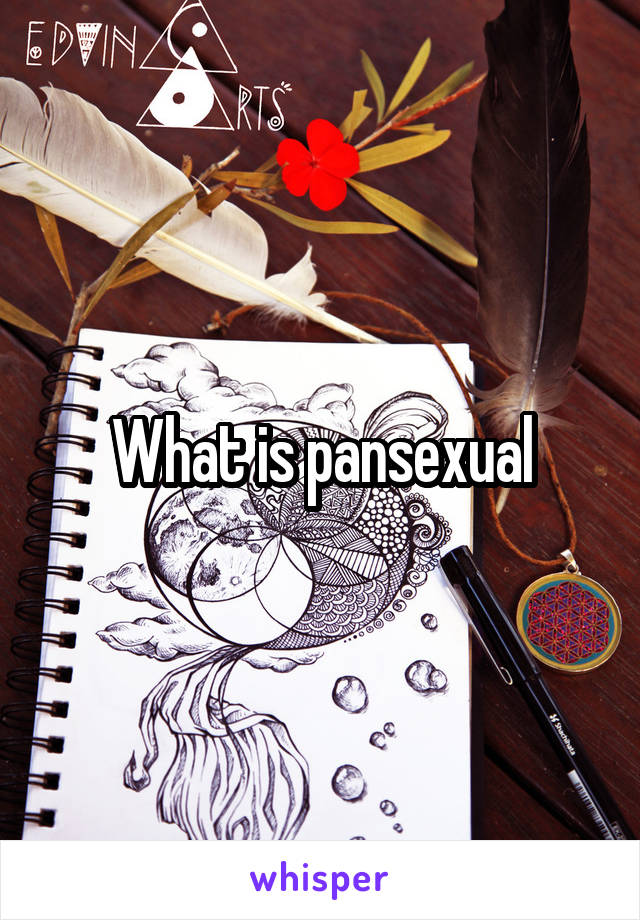 What is pansexual
