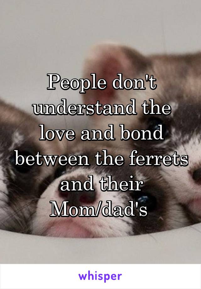 People don't understand the love and bond between the ferrets and their Mom/dad's 