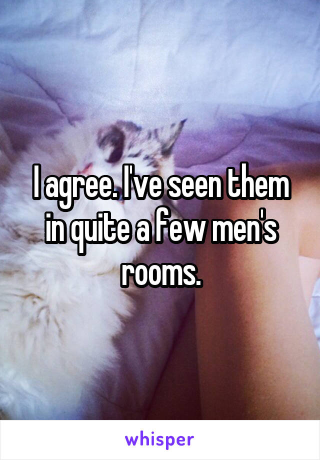 I agree. I've seen them in quite a few men's rooms.