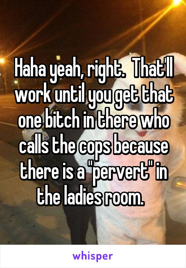 Haha yeah, right.  That'll work until you get that one bitch in there who calls the cops because there is a "pervert" in the ladies room.  