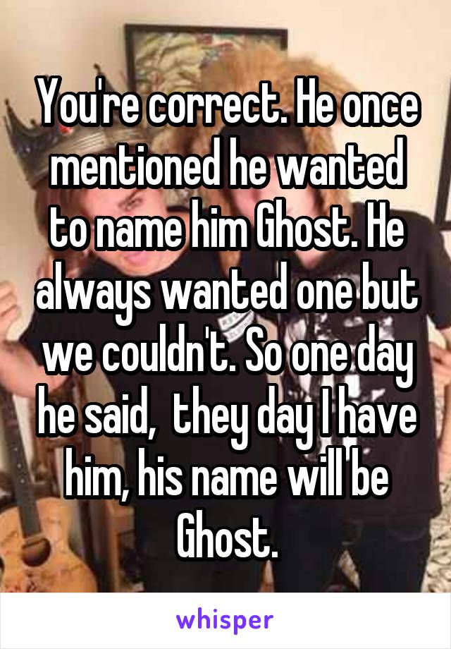 You're correct. He once mentioned he wanted to name him Ghost. He always wanted one but we couldn't. So one day he said,  they day I have him, his name will be Ghost.