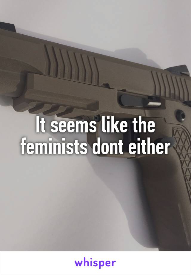 It seems like the feminists dont either